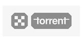 Torrent Pharmaceuticals